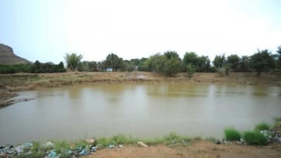 أخبار اليمن : وفاة 3 أطفال غرقاً في بركة مياه بصعدة