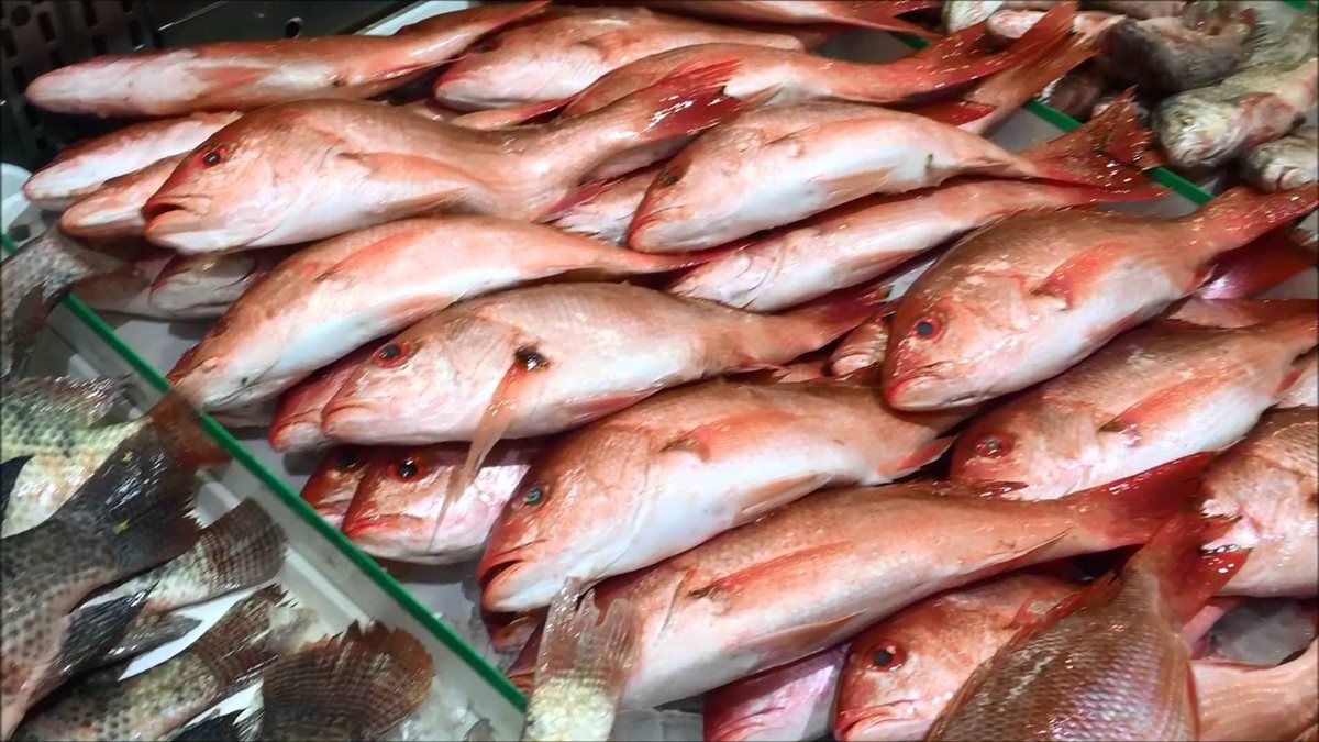 بكام قبل شم النسيم؟.. أسعار السمك اليوم الأحد...