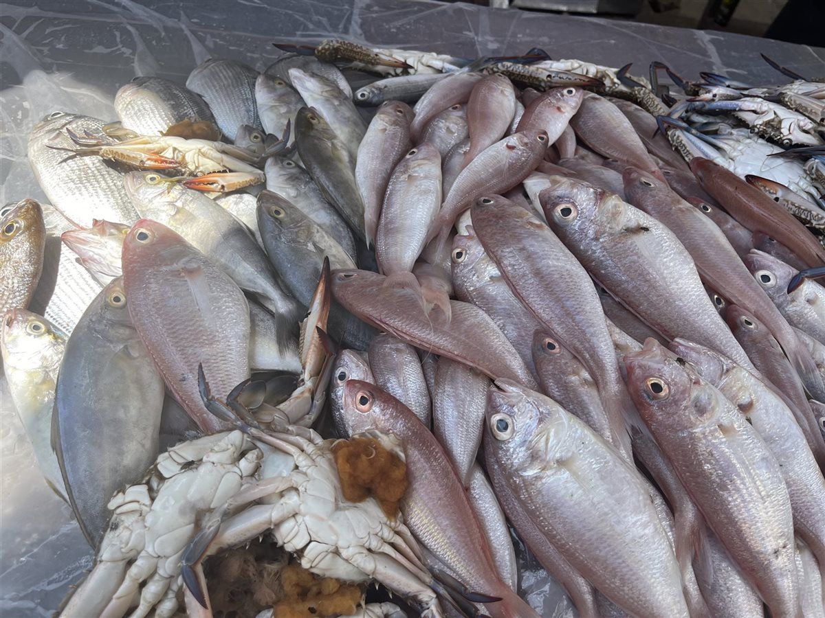 بكام الكيلو في شم النسيم؟.. أسعار السمك اليوم...