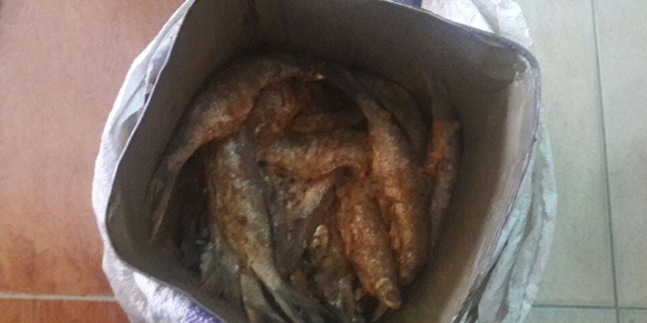 ضبط 14 طن رنجة وفسيخ مجهولة المصدر فى القاهرة والدقهلية والغربية