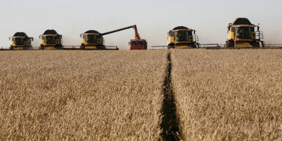 التموين: تجهيز 400 نقطة لاستلام القمح المحلى بسعر 2500 جنيه للأردب