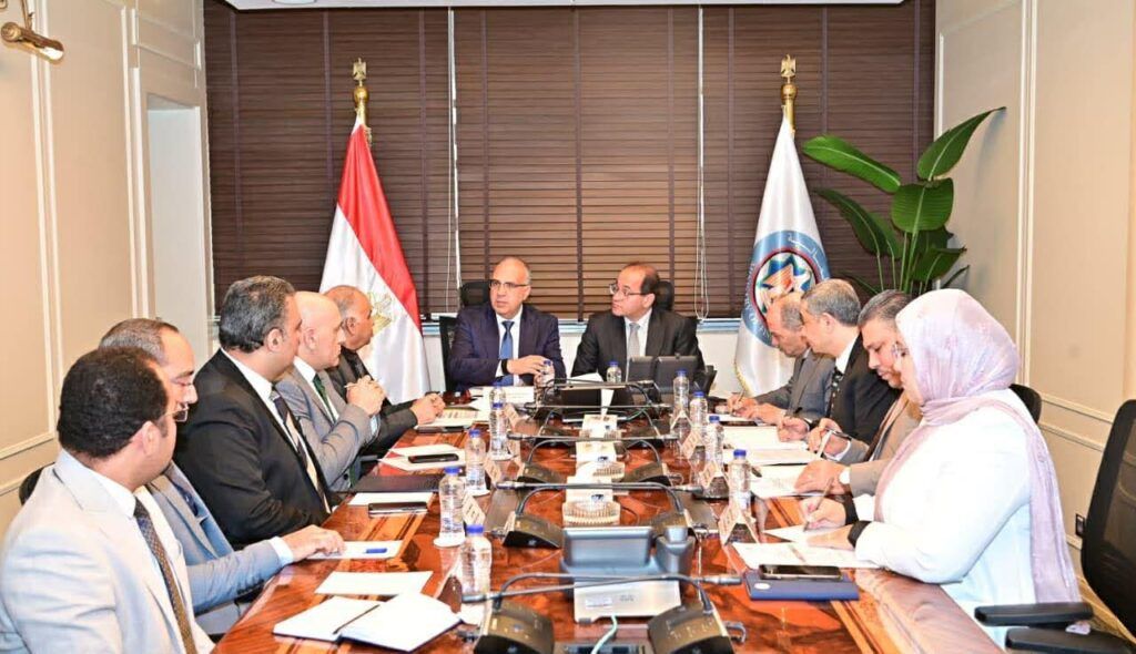 وزيرا المالية والموارد المائية يبحثان تمويل مشروعات التحول إلى أنظمة الري الحديث