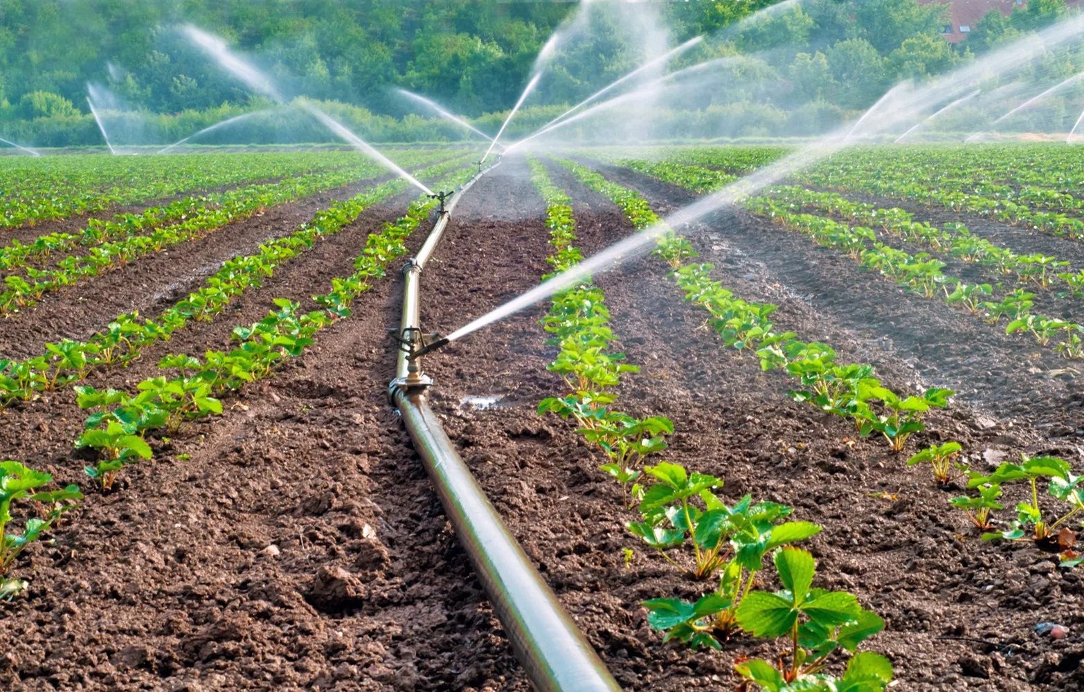 مشروع ضخم يدعم الزراعة.. نقل مياه الصرف الزراعي...