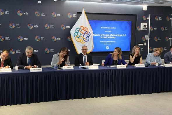 وزير الخارجية: مصر تواصل جهودها لدعم الأمن والاستقرار في المنطقة
