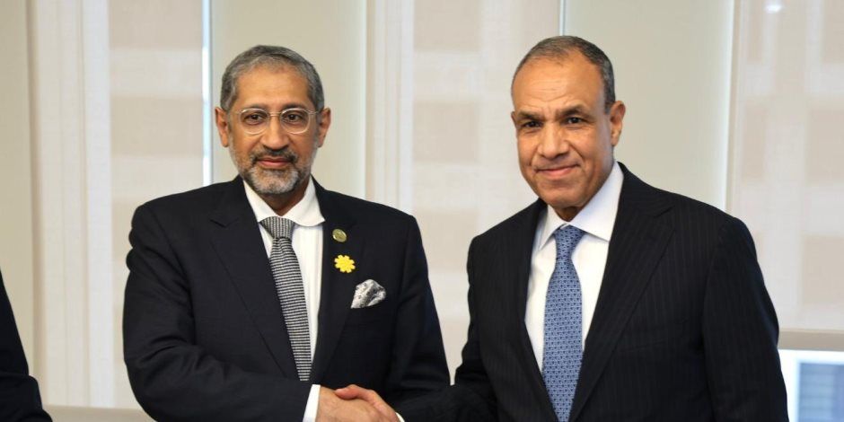 وزير الخارجية يؤكد ثوابت الموقف المصري من القضية الفلسطينية ويبحث مع البنك الدولي دعم إعادة إعمار غزة
