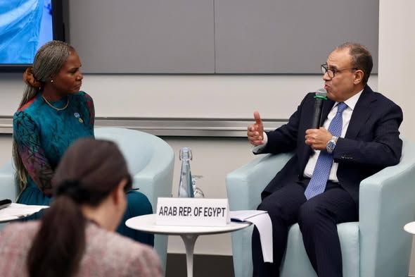 وزير الخارجية: توطين صناعة الدواء وتعزيز سلاسل الإمداد أولوية إفريقية