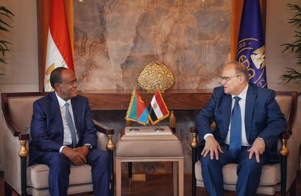 مباحثات بين مصر وإريتريا لدعم التكامل في قطاع الدواء والرقابة الصحية