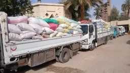 محافظ سوهاج: توريد أكثر من 3322 طن قمح...