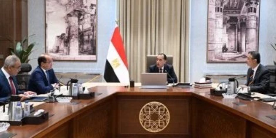 رئيس الوزراء يلتقي الرئيس التنفيذي لشركة "فاليو" الفرنسية