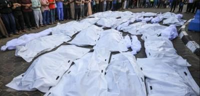 أخبار اليمن : ارتفاع عدد شهداء غزة إلى 72553