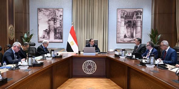 الحكومة تبحث إنشاء مركز لوجيستي عالمي لتخزين وتجارة الحبوب في مصر