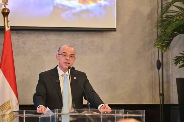 د.فريد: مصر تستهدف تعزيز ريادة الأعمال وزيادة مساهمة القطاع الخاص في الاستثمار إلى 58%