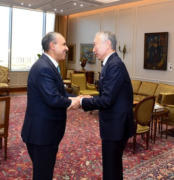 مصر تدعو لتسريع التعافي المبكر ودعم المشروعات الإنسانية في قطاع غزة