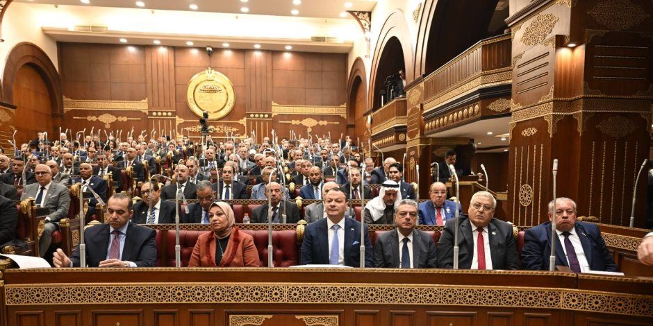 نائبة بالشيوخ تدعو لاستضافة محمد فراج وهاني أبو ريدة للشيوخ لمناقشة مخاطر إعلانات المراهنات بالملاعب