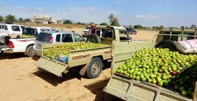 أخبار اليمن : تحذير من استهداف المنتج الوطني