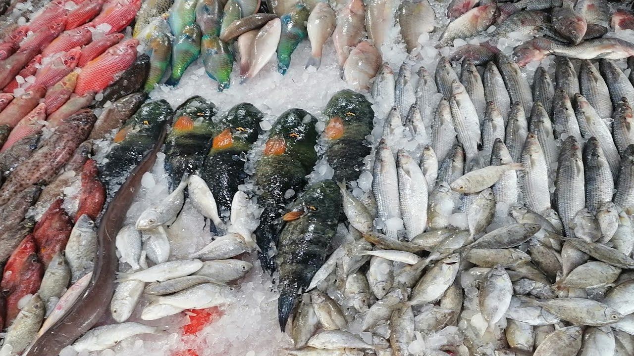 أسعار السمك اليوم في مصر الإثنين 27 أبريل...