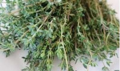 أخبار اليمن : ما تأثير تناول الزعتر على صحة القلب؟