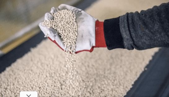 الحكومة: لا صحة لوجود أزمة في الأسمدة الزراعية.. والرصيد يتجاوز 6 ملايين شيكارة