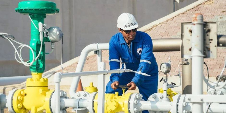 دانة غاز: التعاون مع الحكومة المصرية متين وتم تسوّية كامل مستحقاتنا