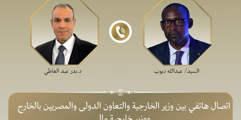 وزير الخارجية يبحث مع نظيره المالي جهود مكافحة الإرهاب في منطقة الساحل