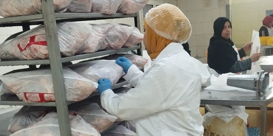 محافظ الجيزة يتابع خطة الإشراف البيطري علي أعمال مجازر الدواجن