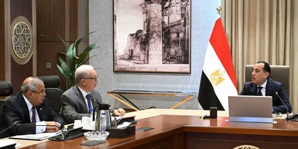 مدبولي: الانتهاء من تحديد مسار الشركات الحكومية ضمن خطة الطروحات قبل 30 يونيو