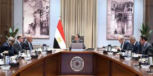 الحكومة: مجموعة عمل لتولي وضع آليات تعزيز التعاون التجاري والاستثماري مع إفريقيا