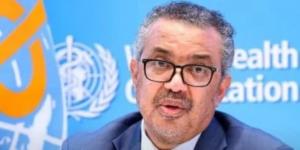 خبير بالصحة العالمية: إيبولا لا ينقل العدوى إلا بعد ظهور الأعراض