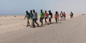 أخبار اليمن : 83835 مهاجراً أفريقياً وصلوا اليمن منذ بداية 2026م