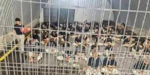 أخبار اليمن : إصدار وتجديد أوامر اعتقال إداري لـ56 فلسطينياً