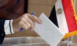 القبائل والعائلات المصرية تدعو للمشاركة الإيجابية في الانتخابات الرئاسية