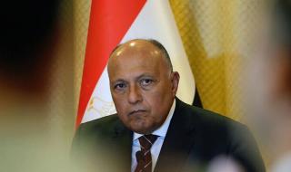 الخارجية المصرية : الإخوان المسلمون كتنظيم "إرهابي" في مصر يختلفون عن حركات التحرر بفلسطين