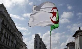الجزائر تستقبل 400 طفل فلسطيني جريح من غزة لتلقي العلاج الطبي