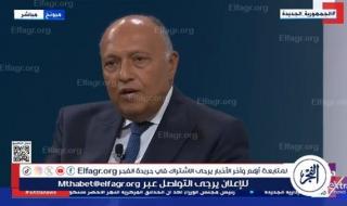 سامح شكري: الوقت يضغط علينا ولا بد من وقف دائم لإطلاق النار قبل رمضان