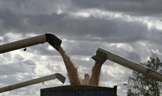 ارتفاع أسعار تصدير القمح الروسي بفعل الظروف الجوية الصعبة