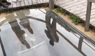 ابتكار قبور زجاجية في الصين لرؤية الموتى يثير الجدل بمنصة "إكس"..اتفرج