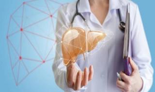 علاج مصري لمرضى الكبد.. «دوت الخليج» يحاور الفريق البحثي للدواء الجديد