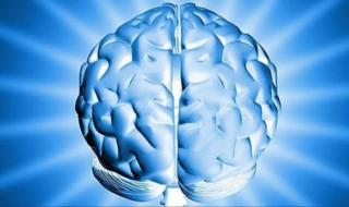 اعجاز رباني كبير لطعام متوفر برخص التراب. يحمي المخ من التلف ويمنعه من التجلط ويجعلك الذاكرة حديد في ايام