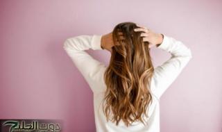 "الكل هيسألك على السر".. كريم سحري لعلاج الشعر وتطويله وأحسن مليون مرة من البروتين وهتحضريه جوا البيت وبدون تكاليف!!