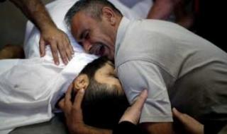 أخبار اليمن : ارتفاع عدد شهداء غزة إلى 44 ألفاً و330