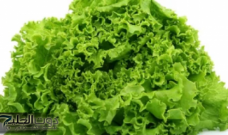 "العشبة المعجزة في كل بيت" تنظف الكبد وتضبط الكولسترول وتعالج الزكام والسعال وحل جذري للروماتيزم في دقائق!