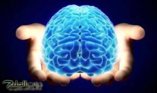 “معجزة ربانية ”.. طعام بسيط متوفر في الأسواق برخص التراب يغذي المخ ويحسن بنية الدماغ ويقوي الذاكرة قبل الامتحانات