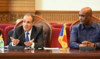 وزير الخارجية يلتقى وزير البنية التحتية التشادى خلال زيارته إلى نجامينا