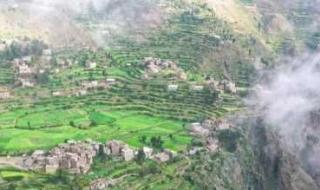 أخبار اليمن : الأرصاد: استمرار الأجواء الباردة