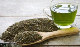 أفضل الأعشاب الطبيعية لحرق الدهون والتخلص من الكرش