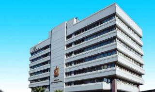 معلومات الوزراء يستعرض تقرير أهمية تعزيز النظم العالمية لاستثمارات الأطفال