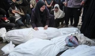 أخبار اليمن : ارتفاع عدد شهداء غزة إلى 53901
