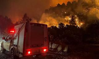 العالم اليوم - حرائق اللاذقية مستمرة..ووزير الطوارئ السوري يكشف حجم الخسائر