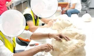 "آثار محطمة".. مصدر يصف صور المتحف اليوناني الروماني بأنها "كارثة"