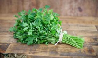 عشبة معجزة برائحة ربانية في كل بيت عربي.. تقوي الذاكرة ويغذي المخ ويحارب الشيخوخة ويعزز نمو الشعر ويطيل